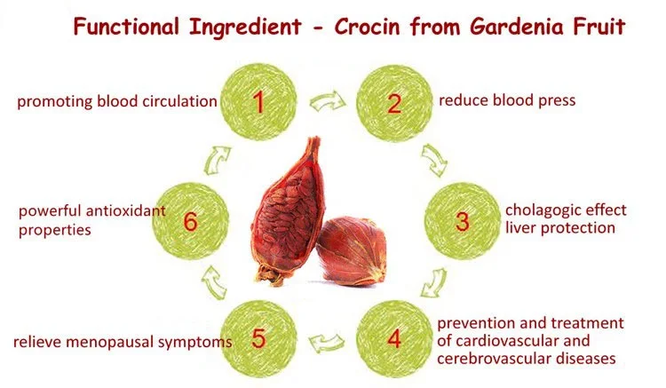 Exploring the Versatile Applications of Crocin Powder