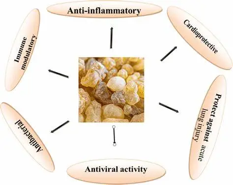Health Benefits of Boswellic Acid Powder