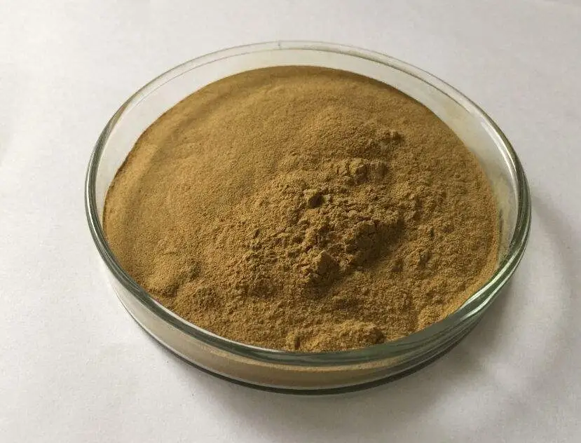 Hydroxytyrosol powder