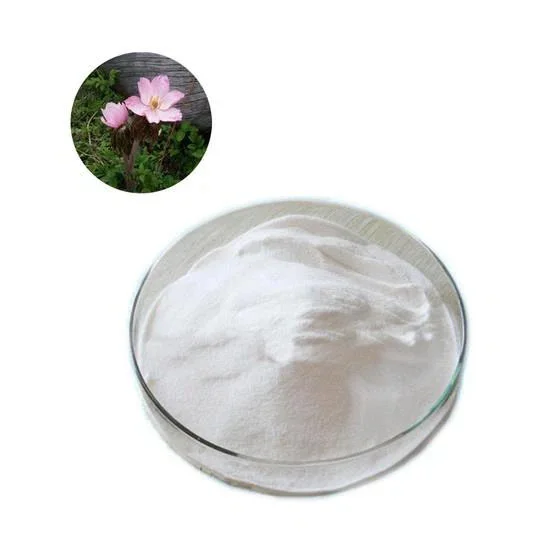 Podophyllotoxin Powder Podophyllotoxin Powder