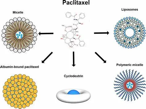 Benefits of Paclitaxel Powder