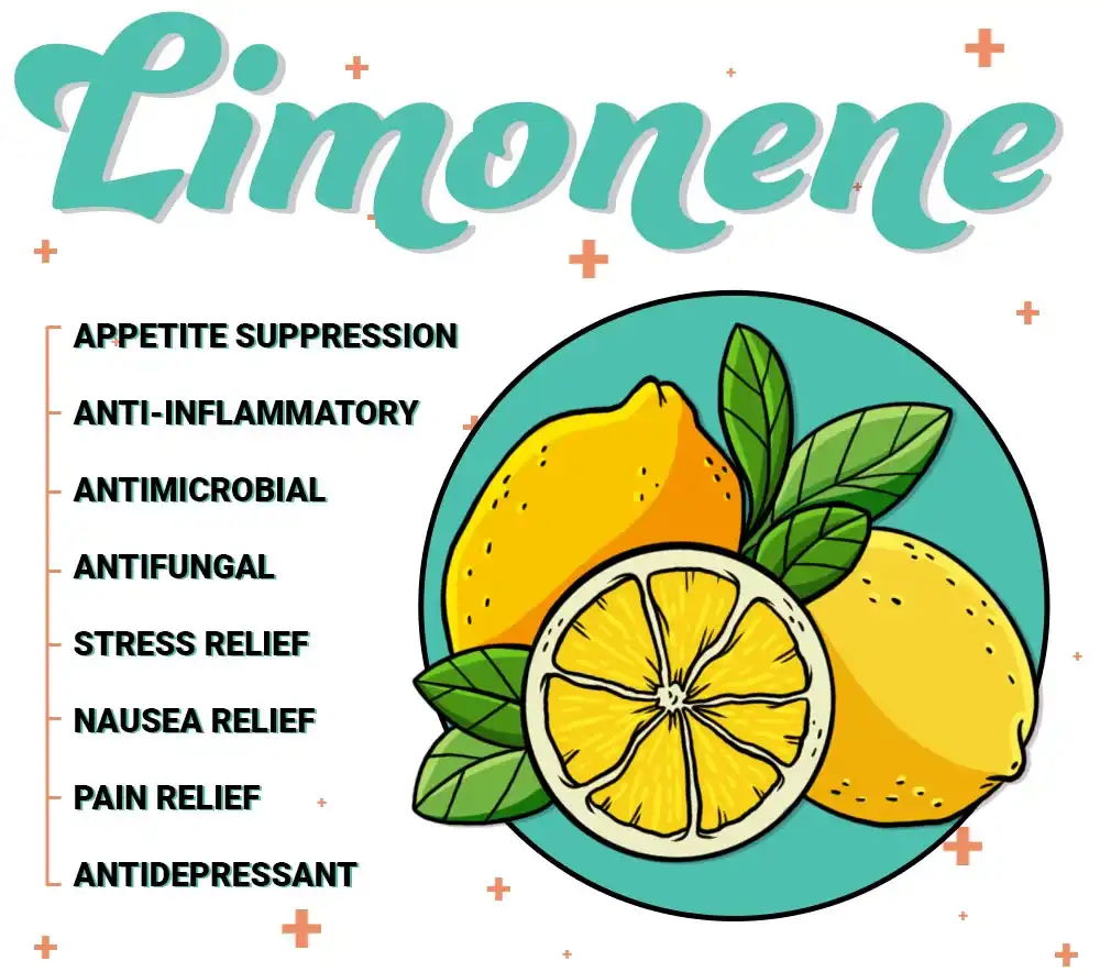 Benefits of Lemon Extract Limonin Benefits of Lemon Extract Limonin