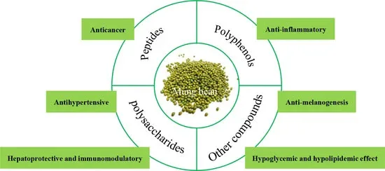 Benefits of Mung Bean Extract Powder Benefits of Mung Bean Extract Powder