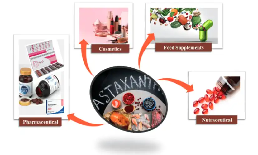 Astaxanthin applications in various industries Astaxanthin applications in various industries