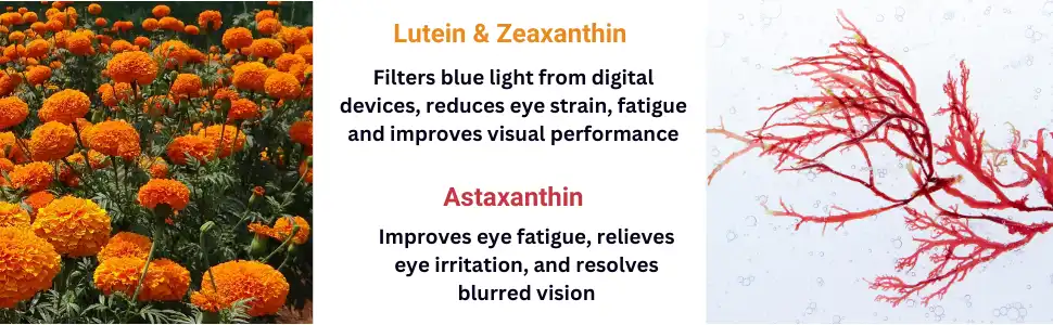 Clinical Benefits for Specific Eye Conditions Clinical Benefits for Specific Eye Conditions