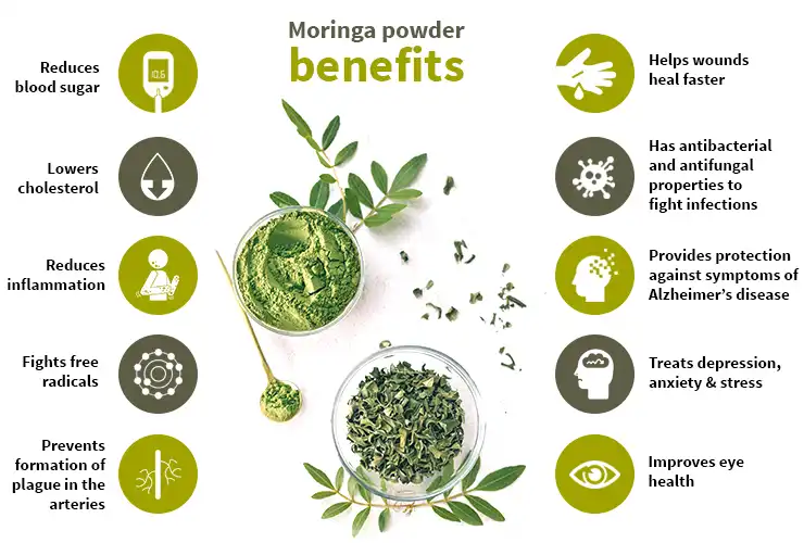 Benefits of Moringa Extract Powder Benefits of Moringa Extract Powder
