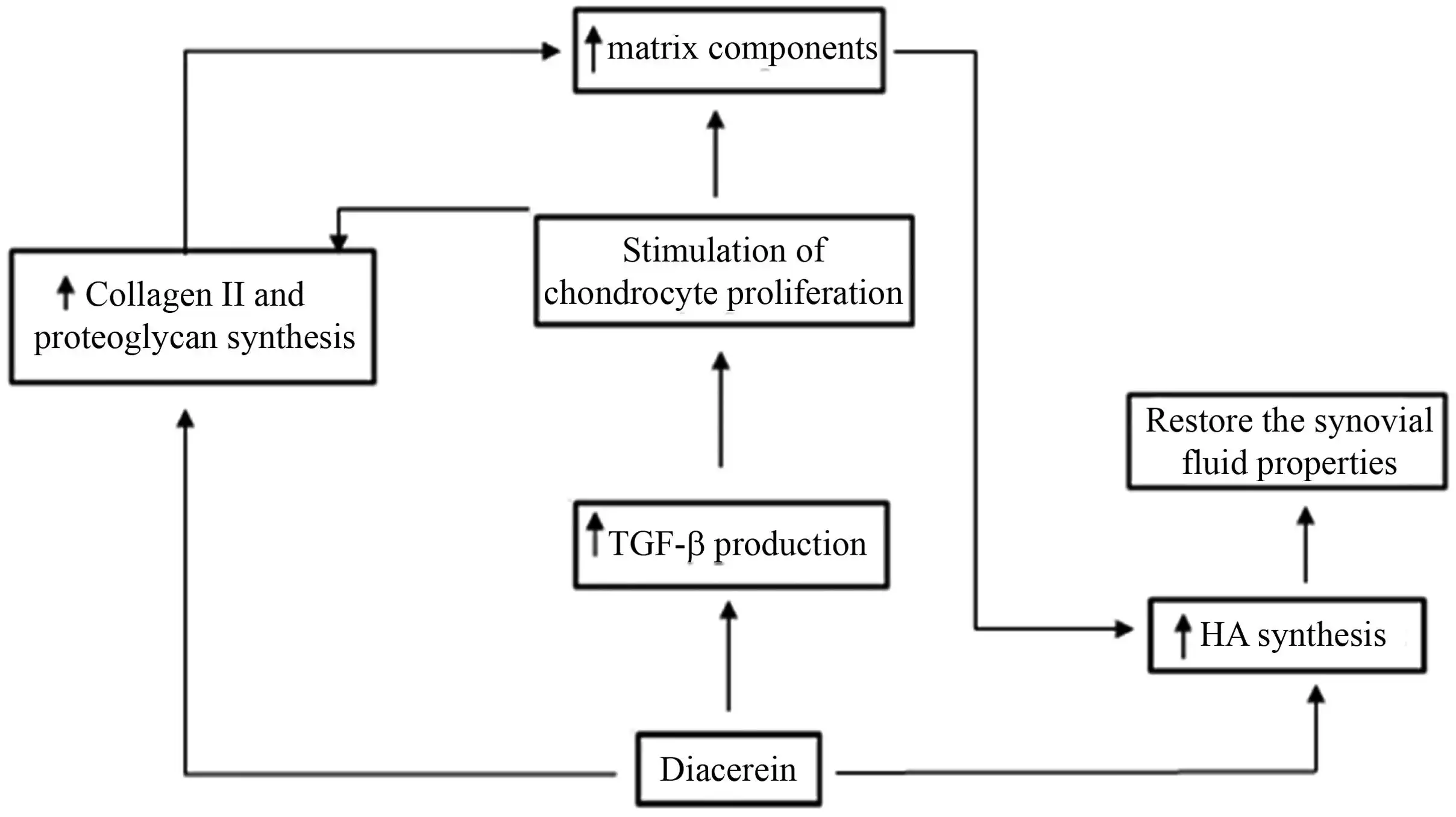 Benefits of Diacerein Powder Benefits of Diacerein Powder