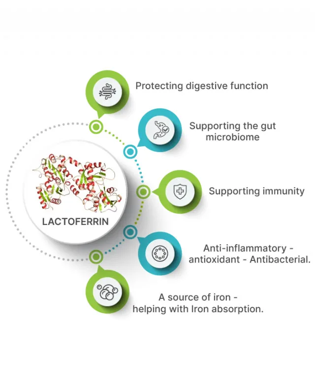Benefits of Lactoferrin Powder Benefits of Lactoferrin Powder