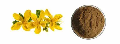 Hypericin Powder Hypericin Powder