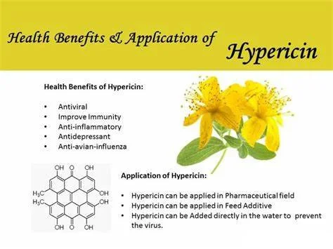 Benefits and applications of Hypericin Powder Benefits and applications of Hypericin Powder