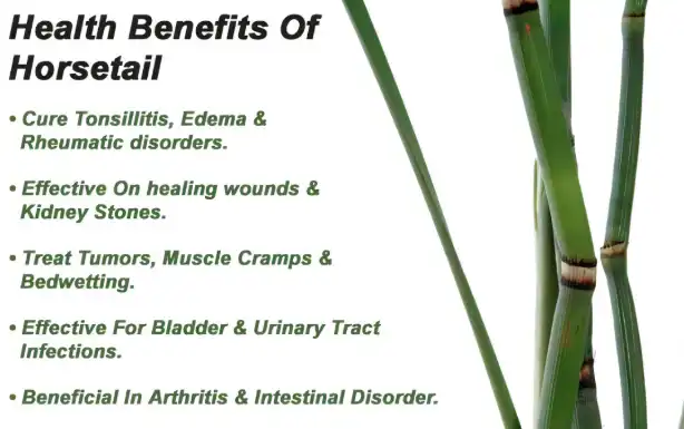 Therapeutic Benefits and Clinical Applications Therapeutic Benefits and Clinical Applications