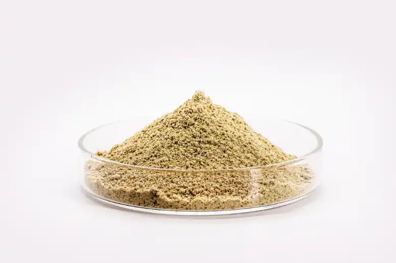 Yeast Extract Powder