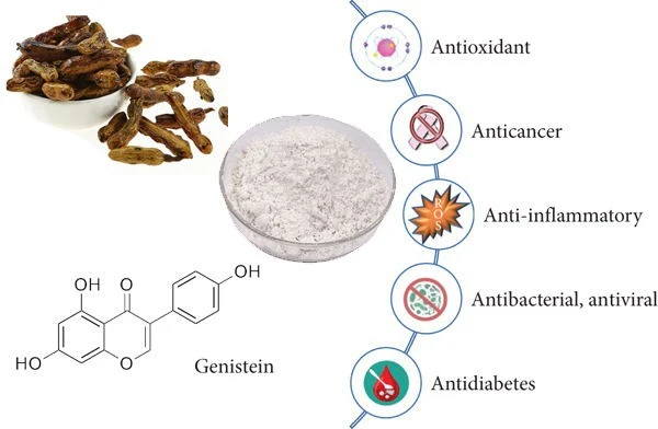 Genistein Benefits Genistein Benefits