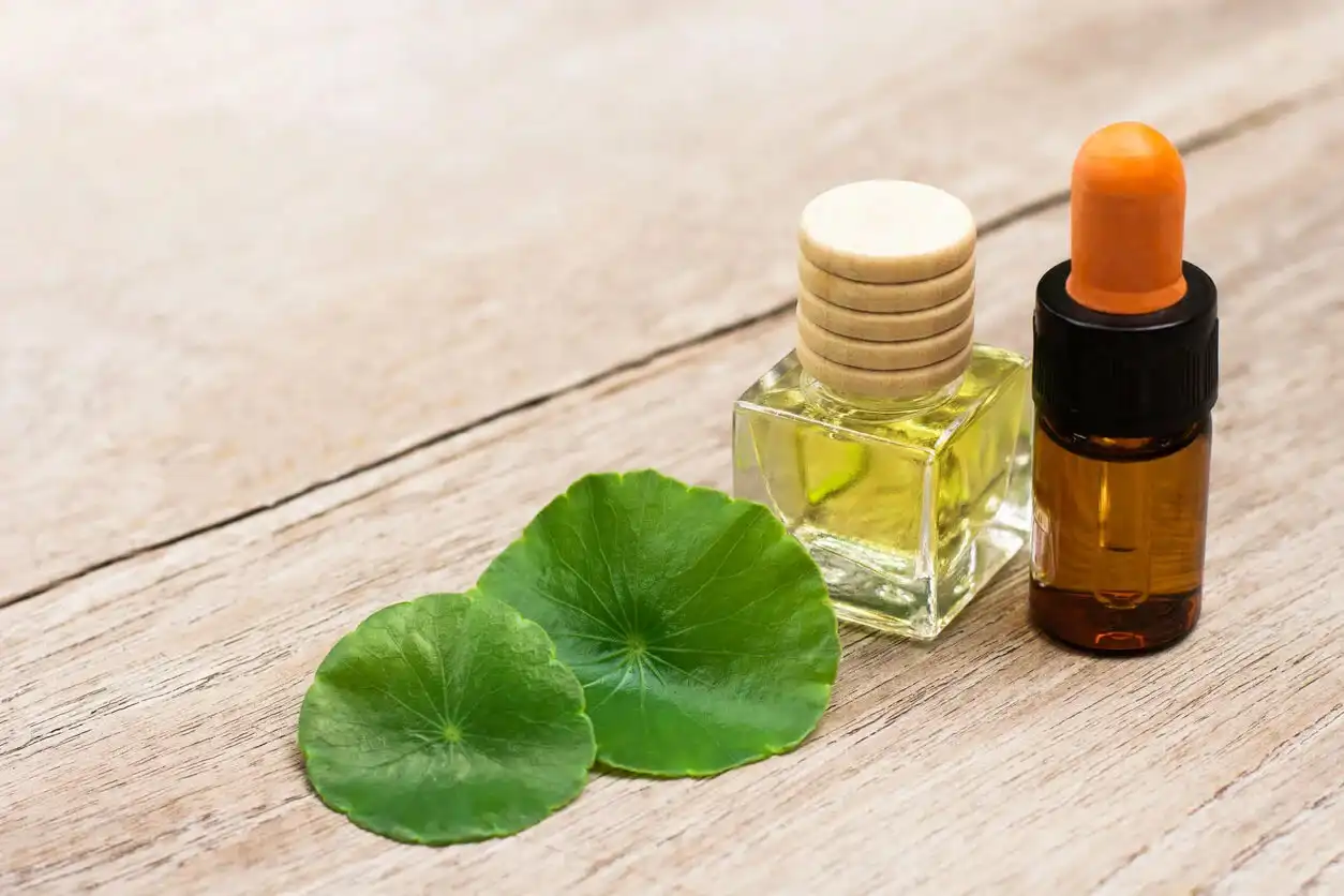 Application of Centella Asiatica Extract in Beauty and Skin Care