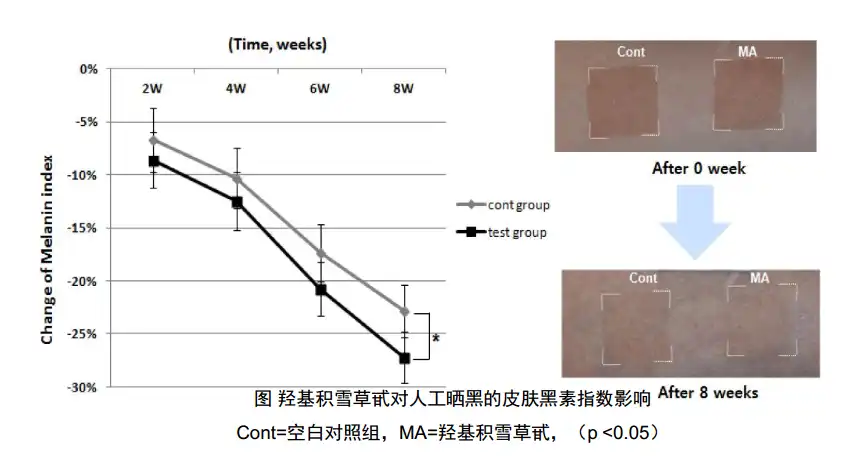 The Main Effects of Asiaticoside Powder The Main Effects of Asiaticoside Powder