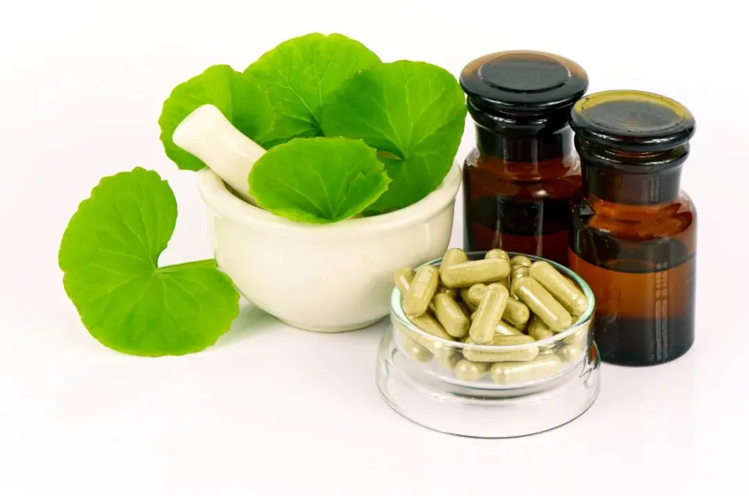 Applications of Asiaticoside Powder Applications of Asiaticoside Powder