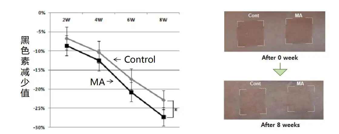 Madecassoside powder can effectively inhibit UVB-induced pigmentation and repair tanned skin. Madecassoside powder can effectively inhibit UVB-induced pigmentation and repair tanned skin.