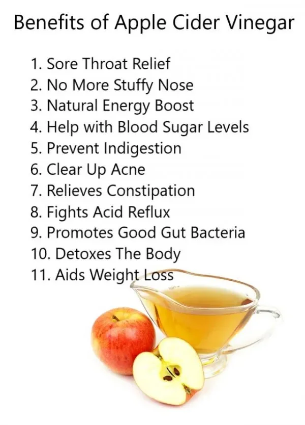 Comprehensive Health Benefits of Apple Cider Vinegar Powder