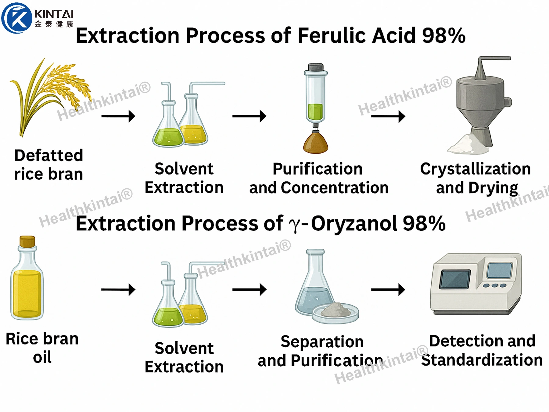 Rice Bran Extract Powder Manufacturing Process