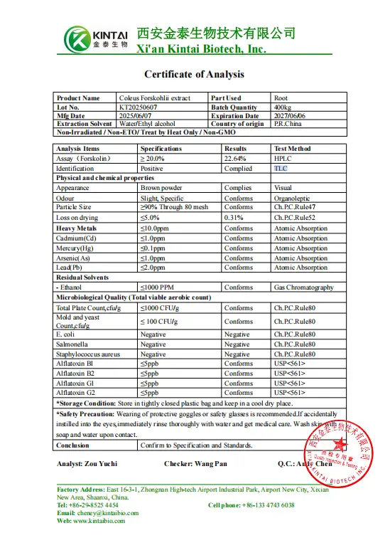 Kintai Coleus Forskohlii Extract‘s COA