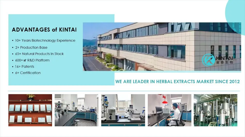 Kintai‘s Advantages