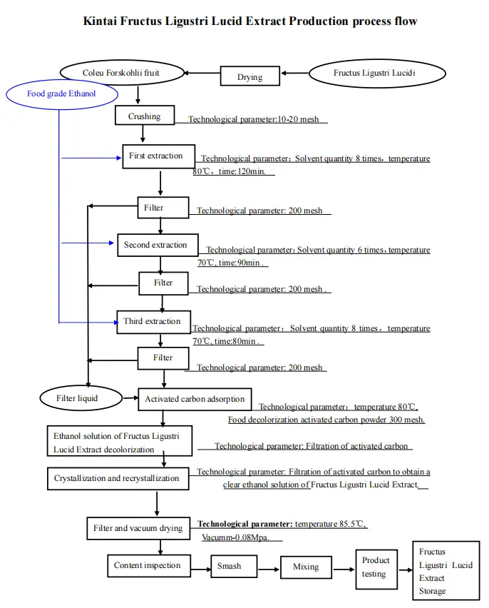 Kintai Fructus Ligustri Lucid Extract Production process flow Kintai Fructus Ligustri Lucid Extract Production process flow