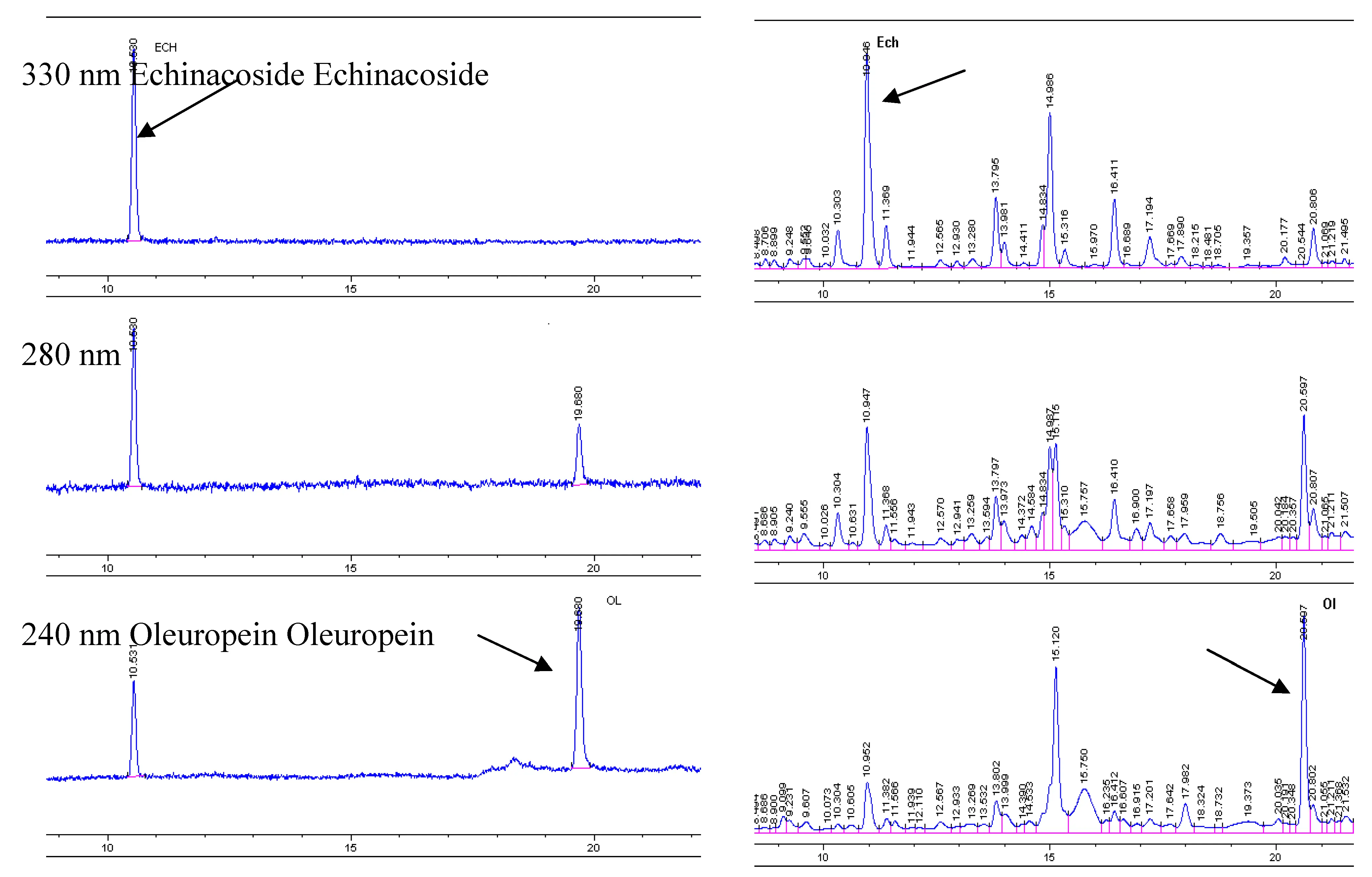 HPLC test of fructus ligustri lucidi extract HPLC test of fructus ligustri lucidi extract