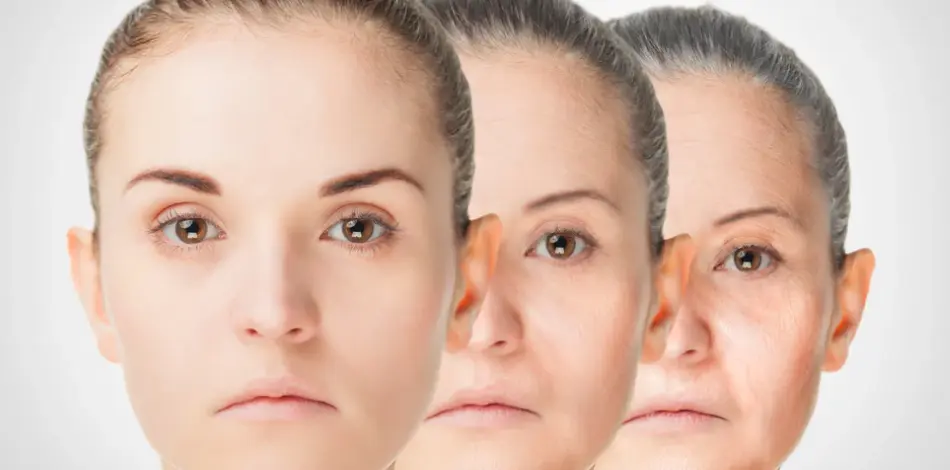 Anti aging