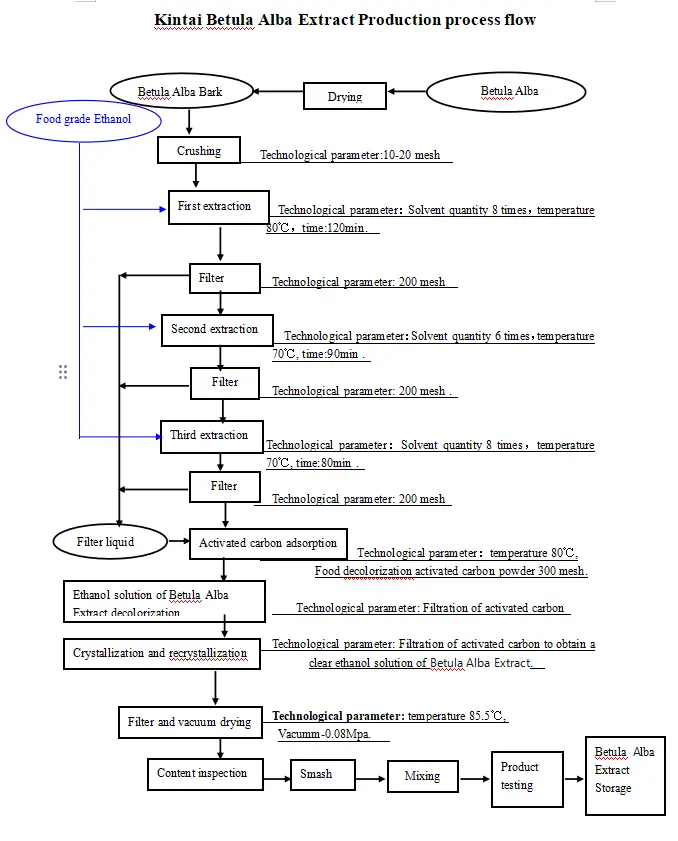 Kintai Betula Alba Extract’s Production process