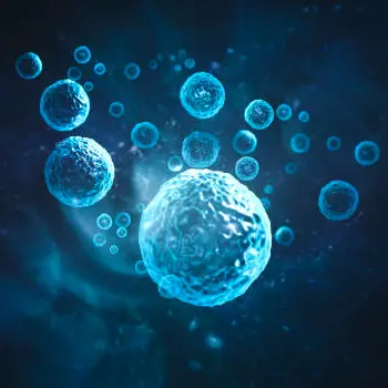 protection at the cellular level