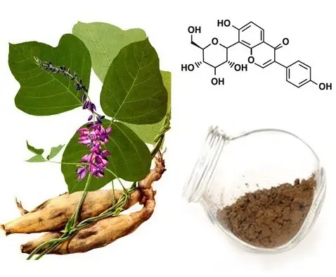 Pueraria Isoflavones Pueraria Isoflavones