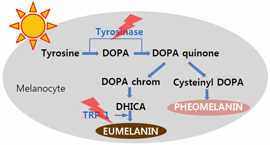 product-786-423 product-786-423