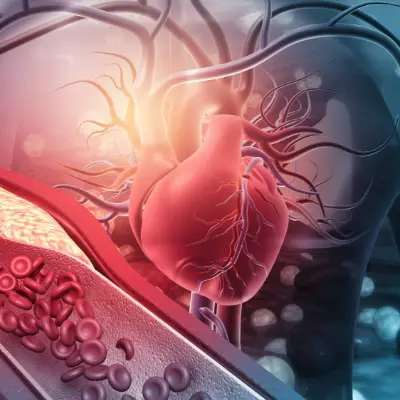 product-500-500 product-500-500