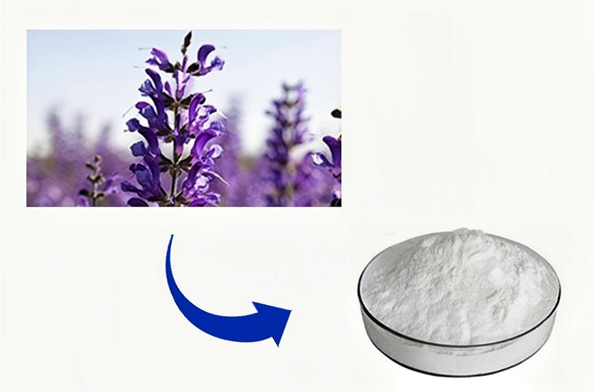 product-529-349 product-529-349