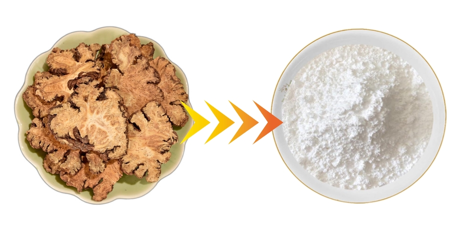 product-589-311 product-589-311