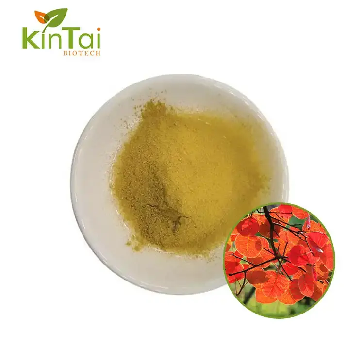 Fisetin Powder Fisetin Powder