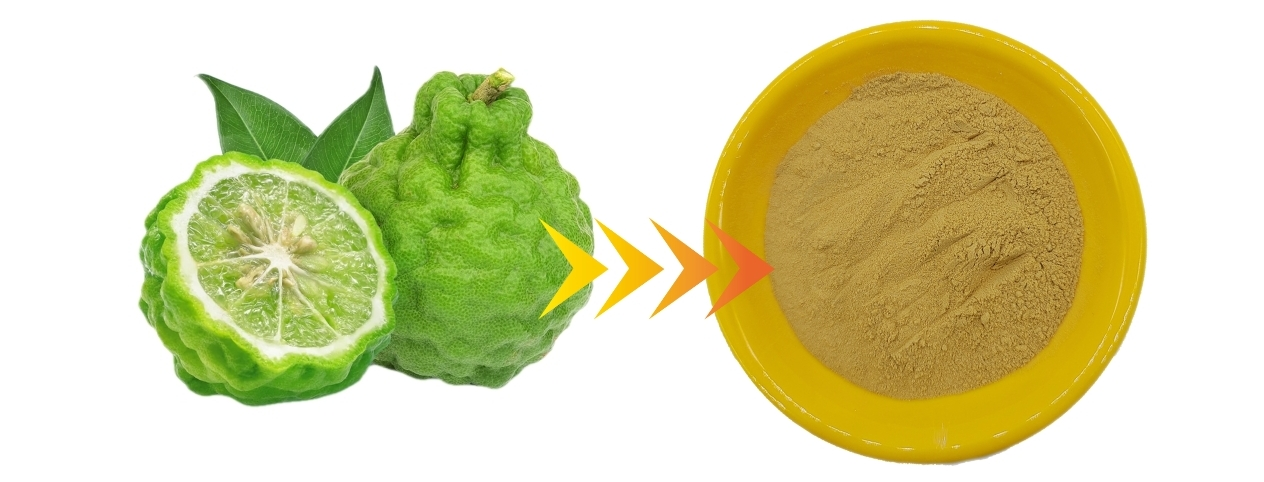 KINTAI Bergamot extract powder KINTAI Bergamot extract powder