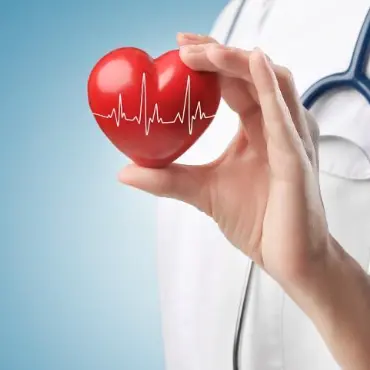 cardiovascular