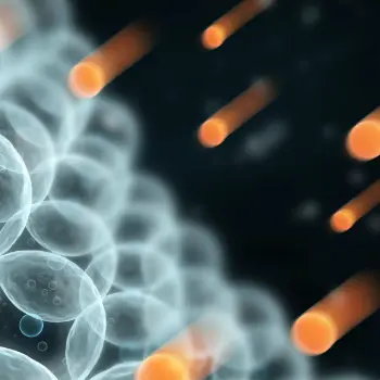 anti-inflammatory anti-inflammatory