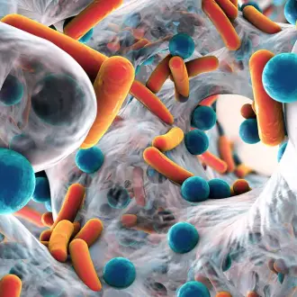 antibacterial antibacterial