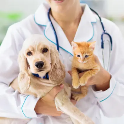 PET CARE