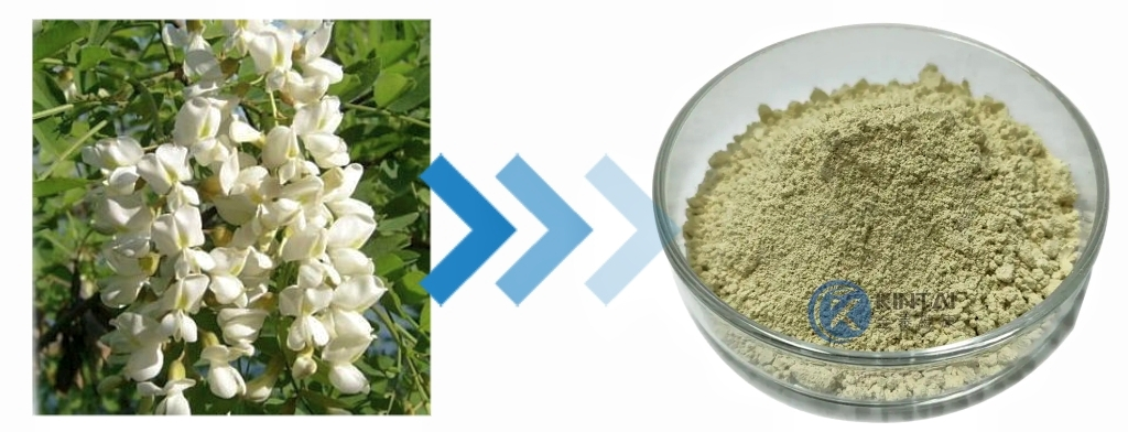 kintai Luteolin powder kintai Luteolin powder