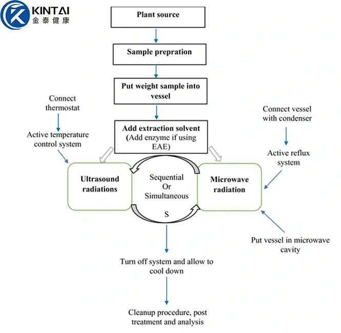 Production Process of KINTAI Luteolin