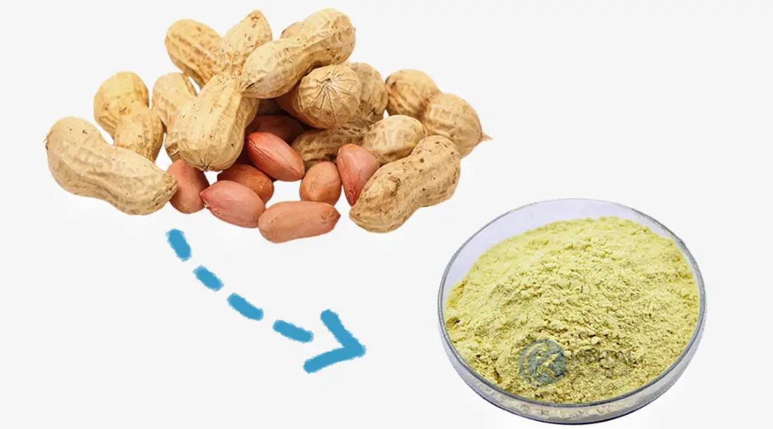 Peanut Shell Extract Luteolin​​​​​​​ Manufacturer and Supplier