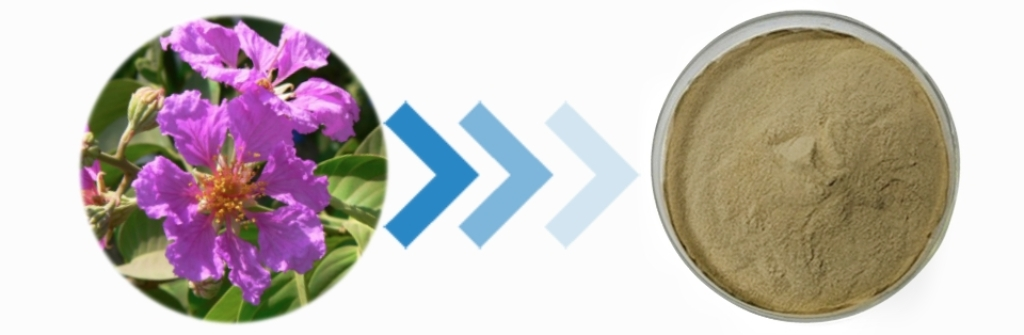 Corosolic acid powder Corosolic acid powder