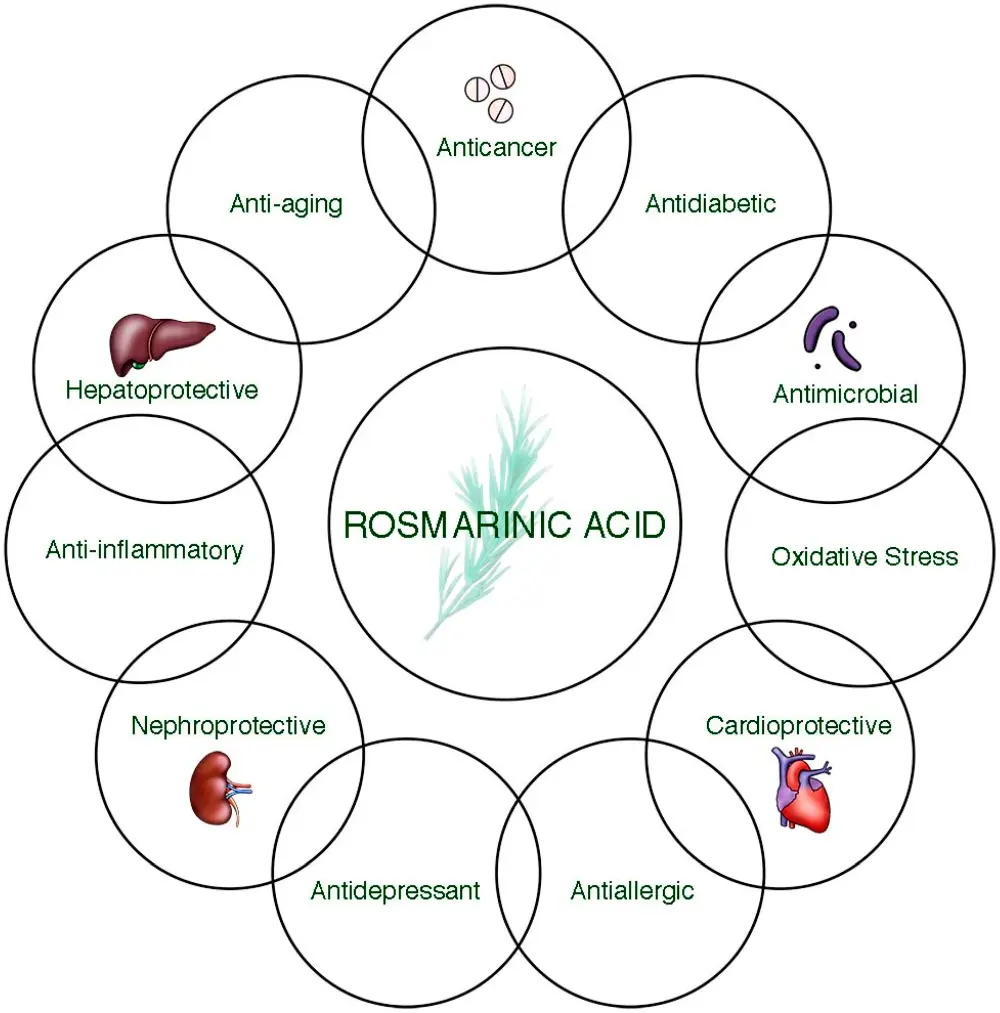 rosmarinic acid