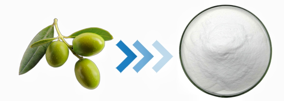 Oleanolic Acid powder Oleanolic Acid powder