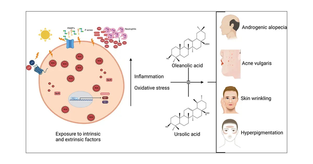 product-1-1 product-1-1