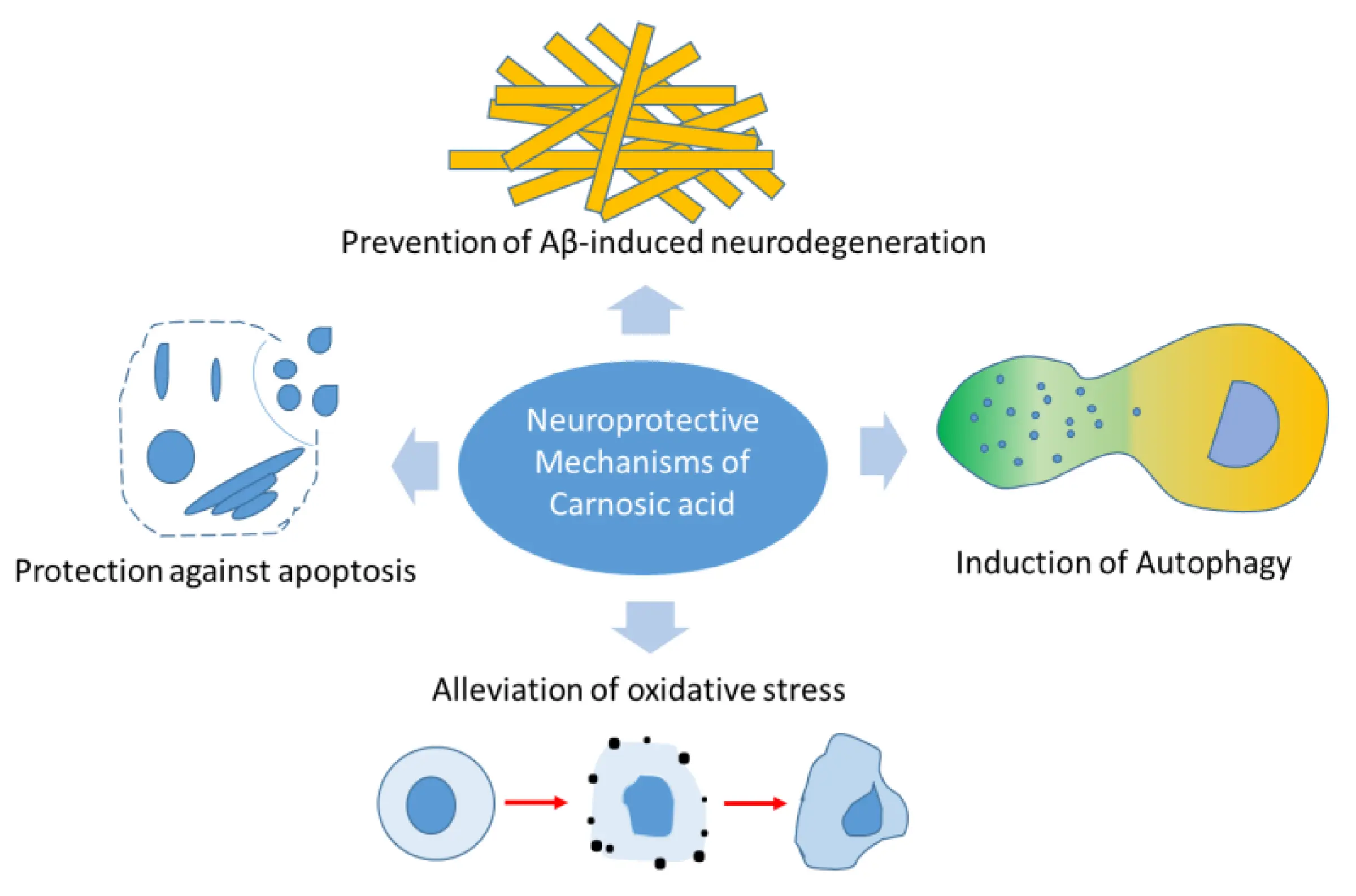 Functional Health Ingredient Functional Health Ingredient