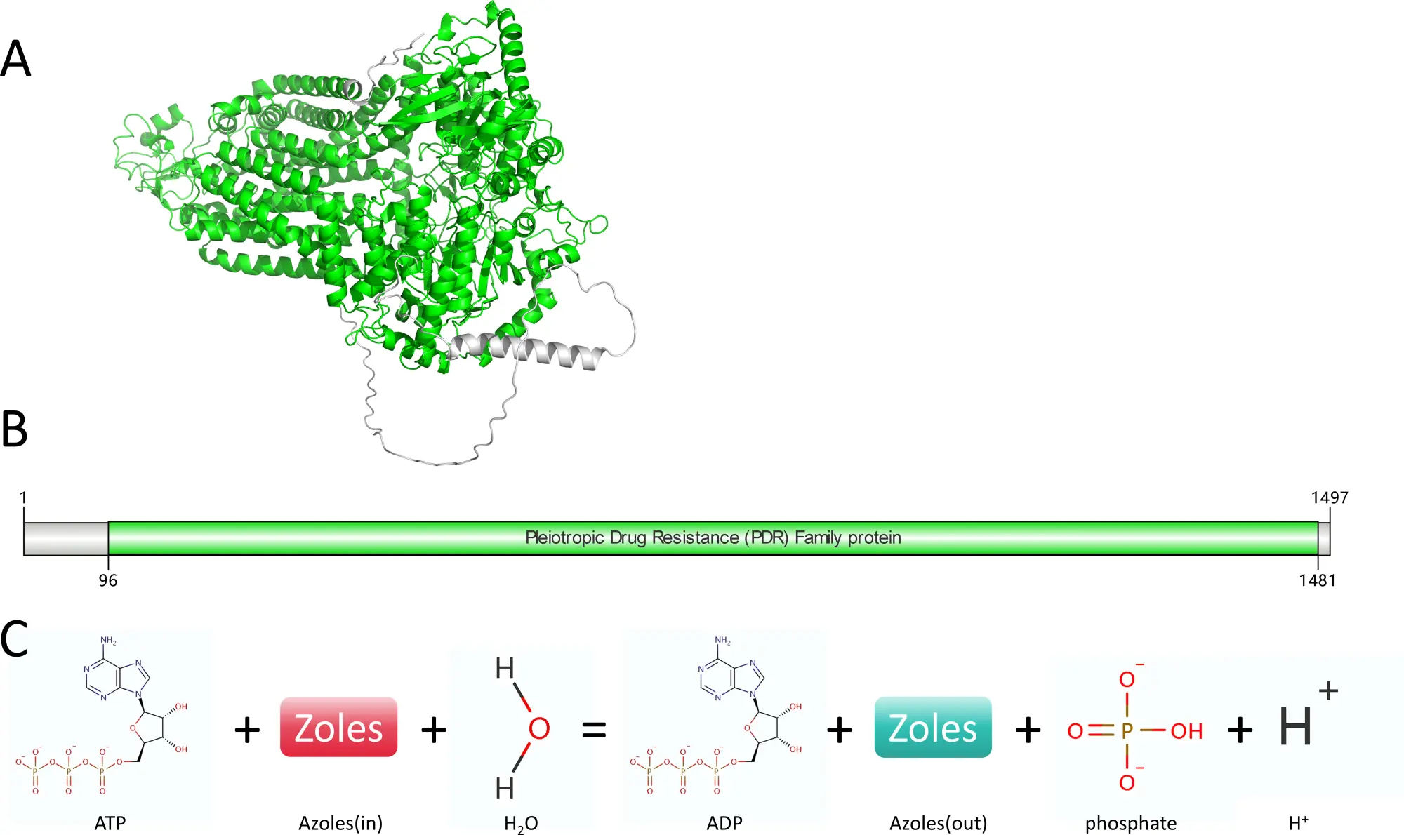 Berbamine dihydrochloride Benefits Berbamine dihydrochloride Benefits